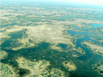 Aerial view of the Okavango Delta channels and islands
