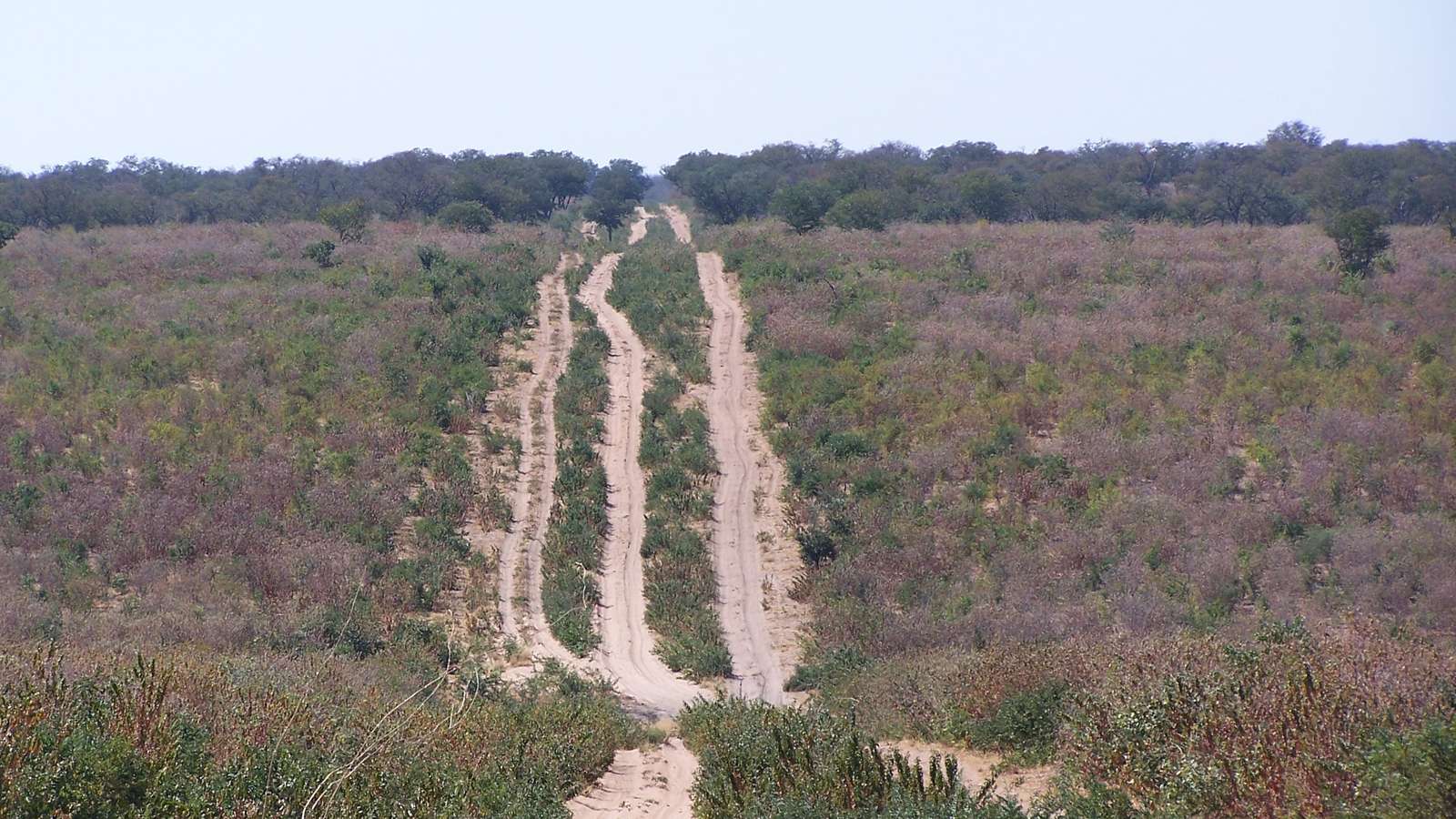 Safari country in northern Botswana