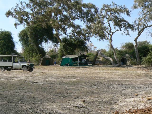 Mobile tented camp pitched under the trees